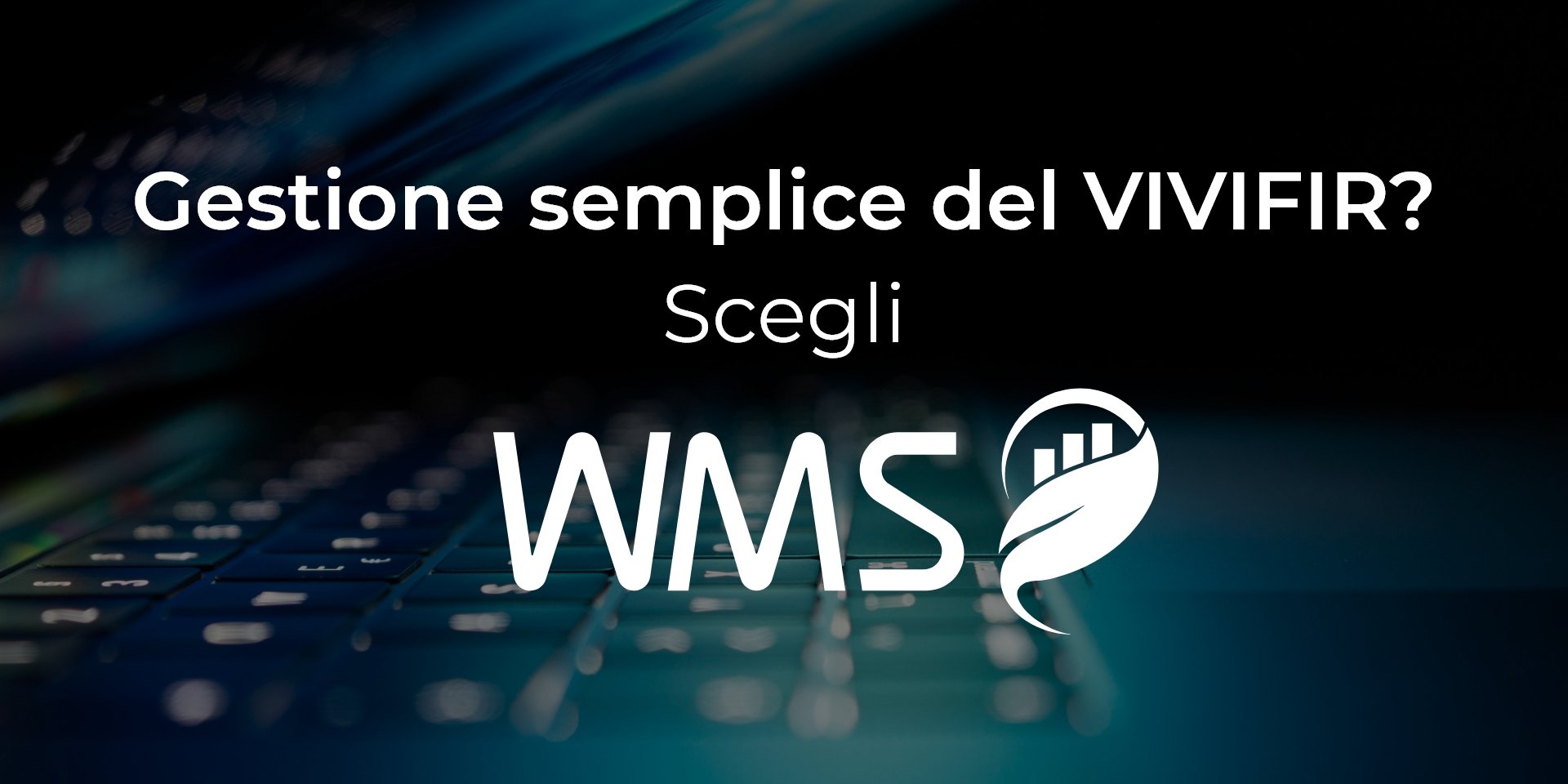 WMS Per La Gestione ViViFir Degli Spurghisti